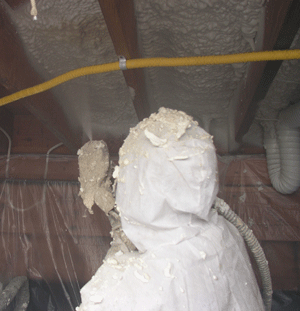 Orlando FL crawl space insulation