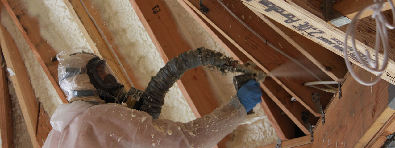 Orlando Florida Attic Insulation Spray Foam